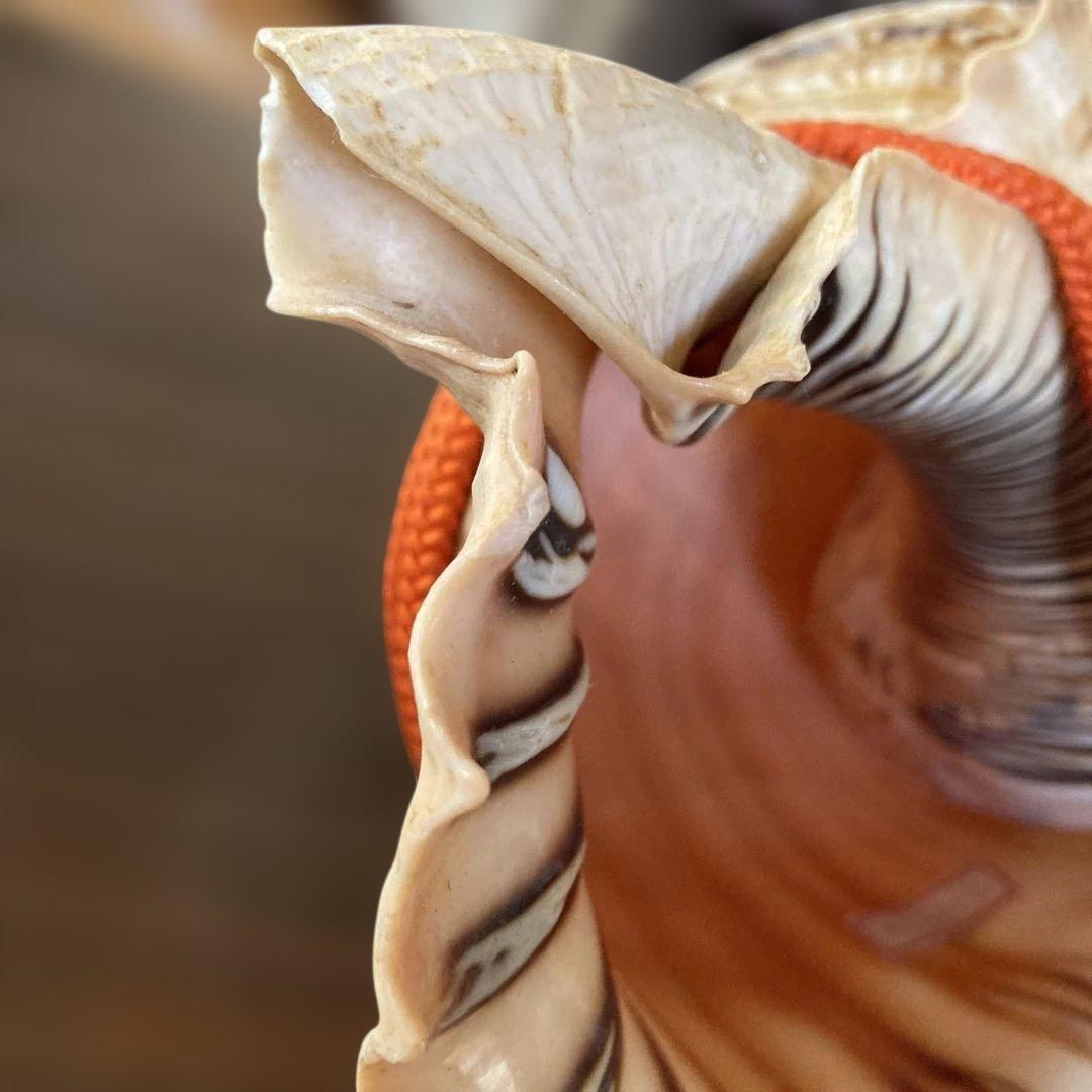 法螺貝 大型40cm 以上　吹き口付き 網袋・房付き 修験道 山伏