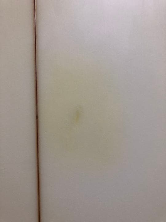 値下げ！ ゼブラサーフボード 6.0