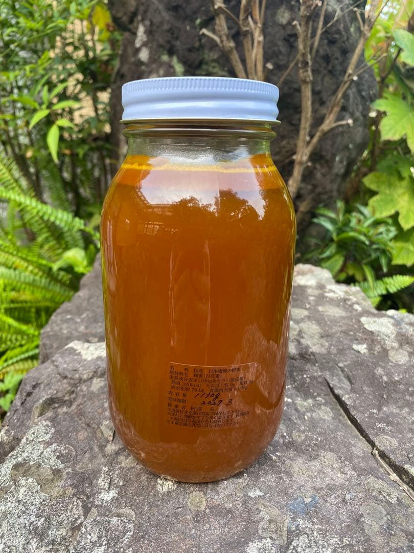 はちみつ　日本蜜蜂のハチミツ　花粉入り蜂蜜