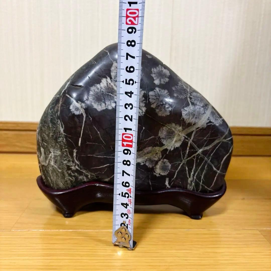 Jページ 菊花石