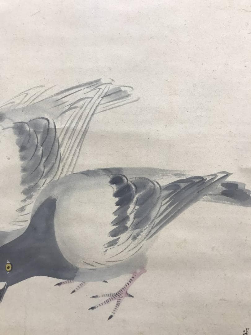 【真作】松村呉春/梅花双鳩図/鳩図/岡本豊彦鑑定/掛軸/名家伝来/AD-665