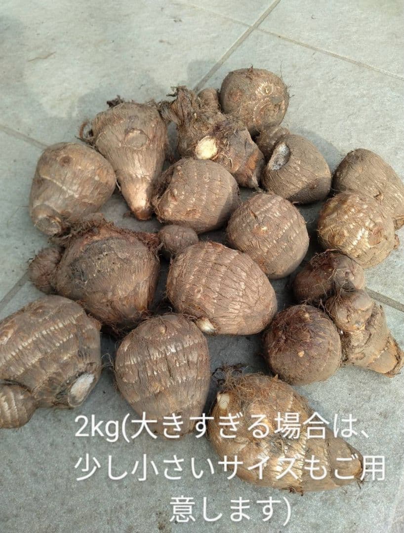 氏家悟様！里芋(土垂)種芋用約10kg