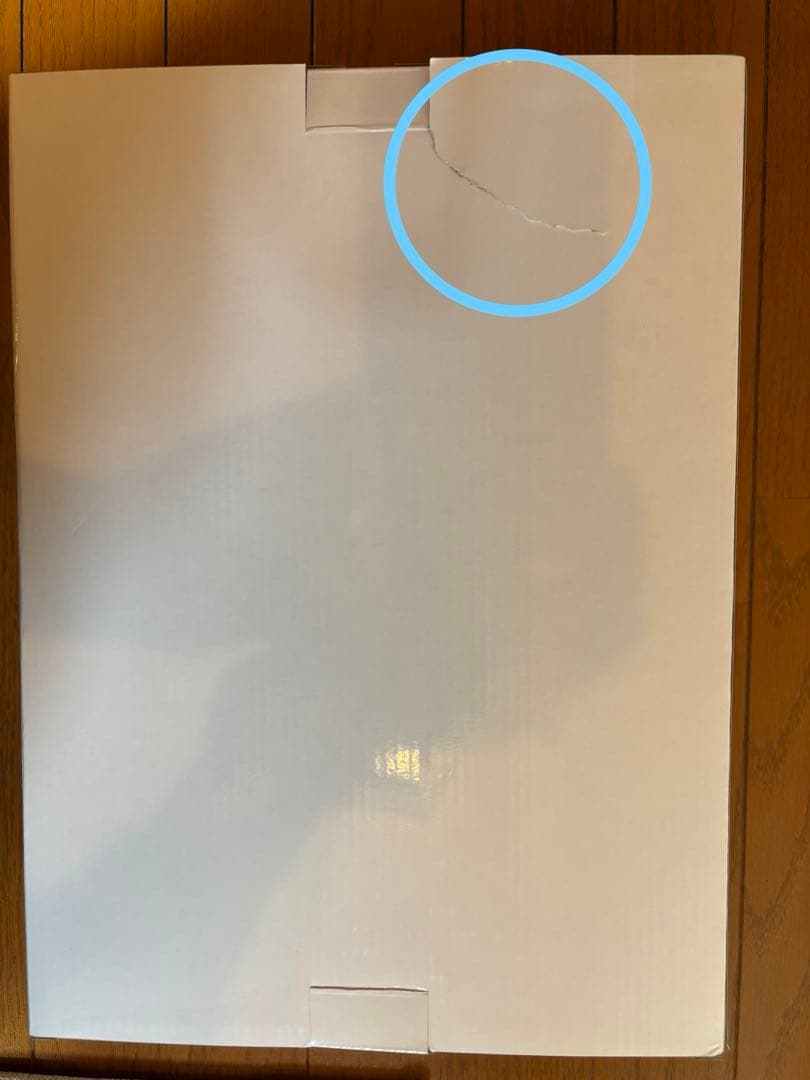 キウイブラザーズ　２０㎝　特注フィギュア　新品