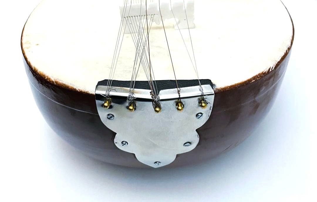 【希少】サロード サロッド SAROD 民族楽器 シタール タンプーラ