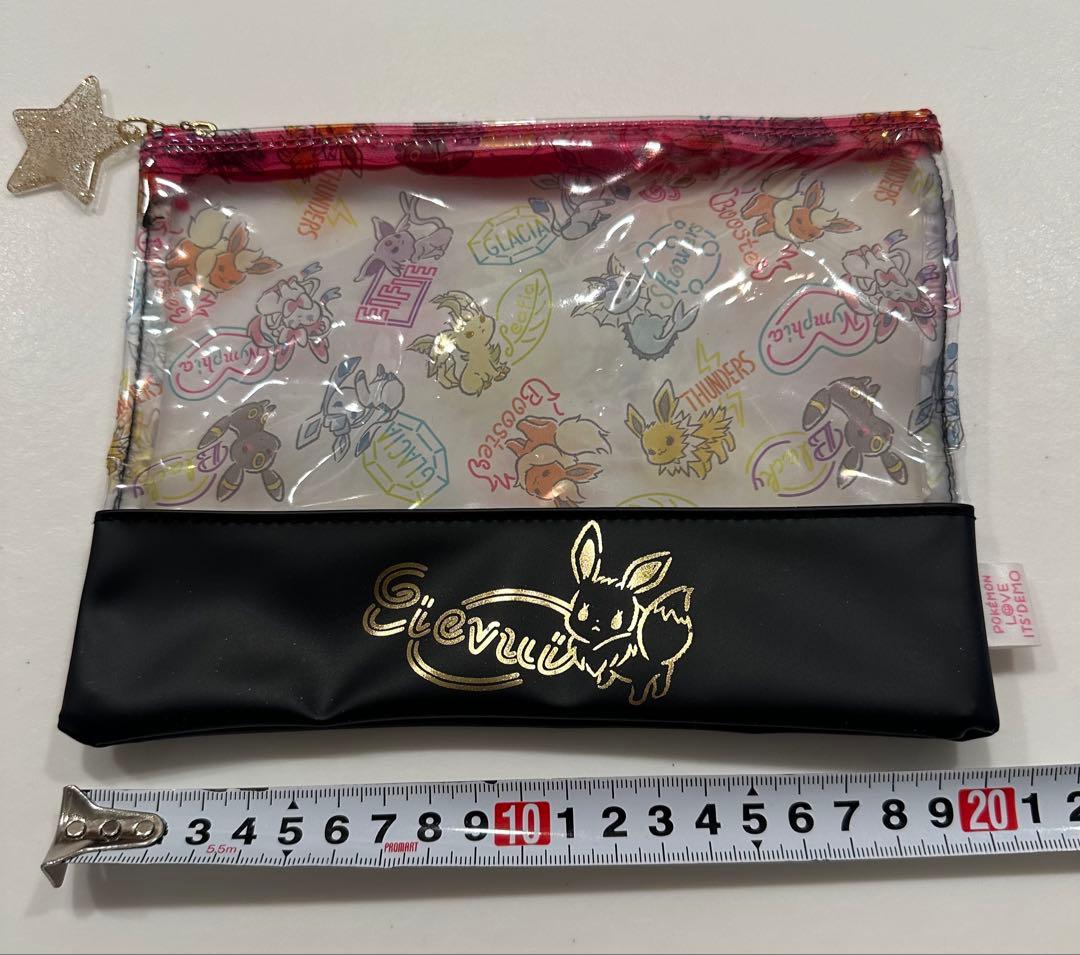 イッツデモ　ポケモン　ビニールポーチ