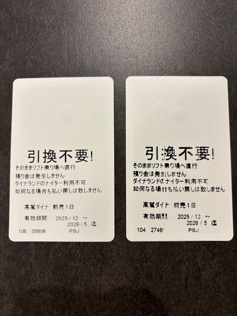 高鷲スノーパーク&ダイナランド　1日リフト券