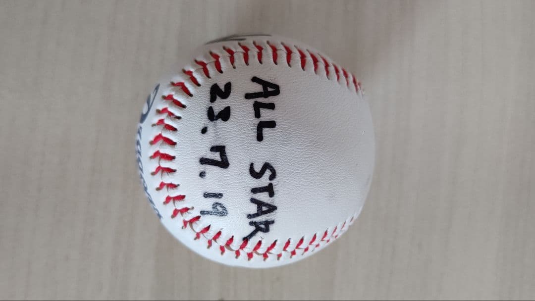 中日ドラゴンズ　サインボール