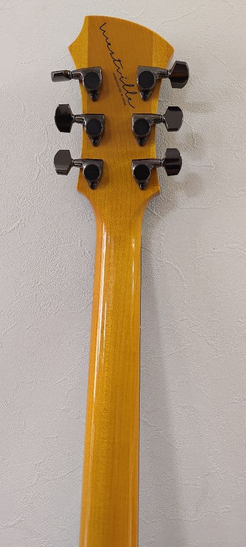 【美品】westville solar ハードケース付