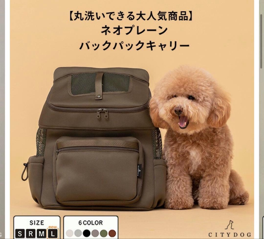 m*読様 citydog シティバックパック キャリーM