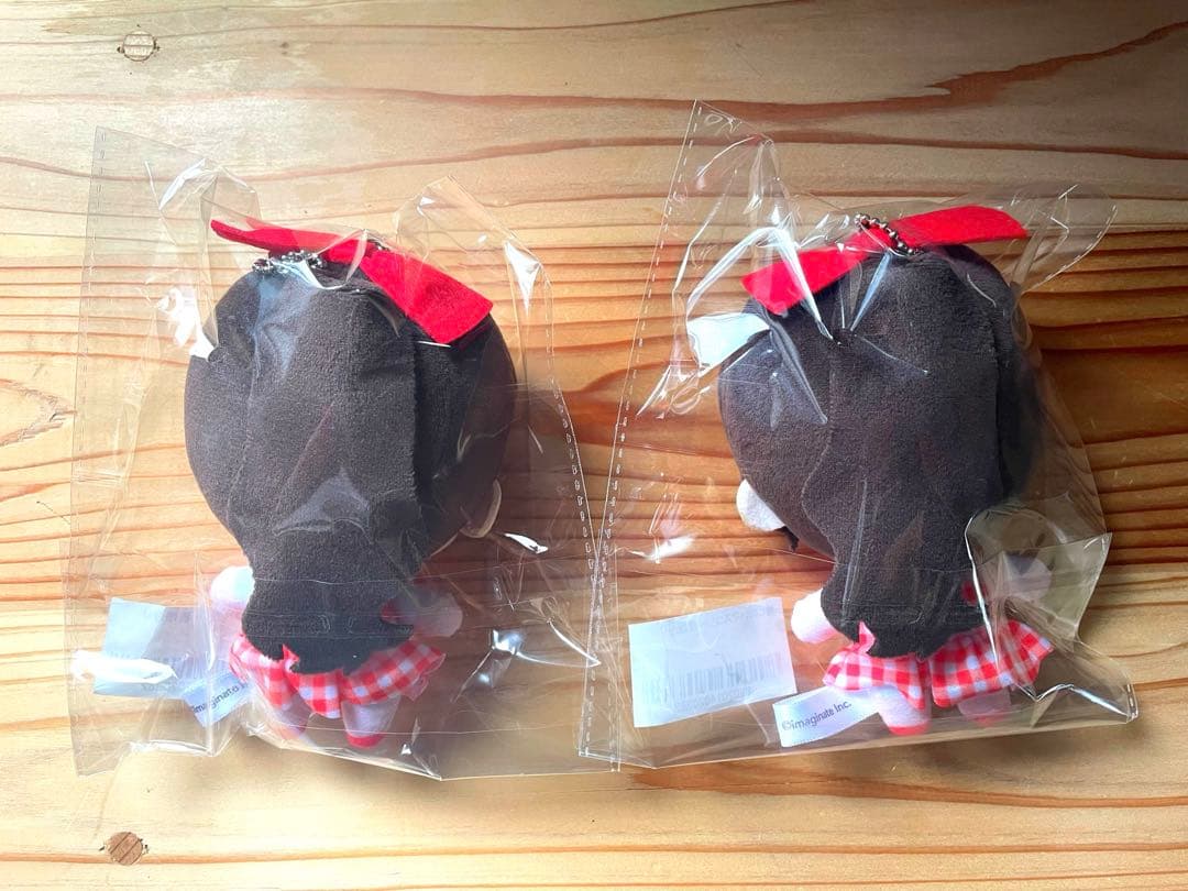 iLiFE! 心花りり　推しぬい　ぬいぐるみ　武道館