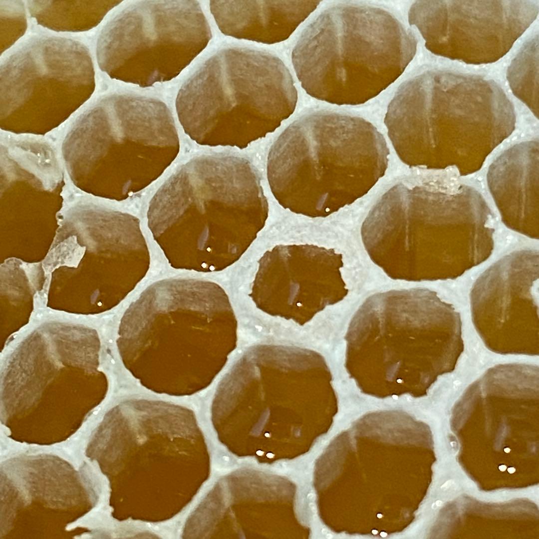 fu&hi 日本ミツバチの非加熱とろとろ生はちみつ×3クリーム50ml×1