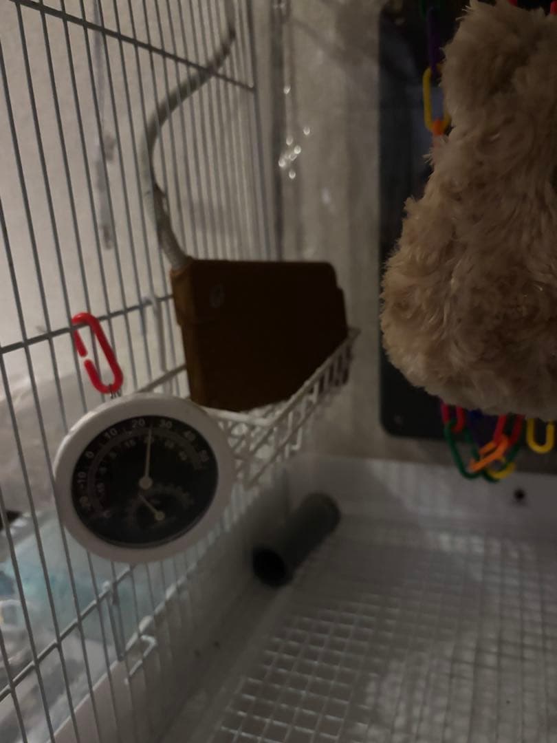 SANKO プラスチックケージ ハンモック付き