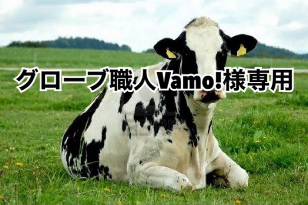 赤オレ10キャメル10グレー10黒ヘリ10m