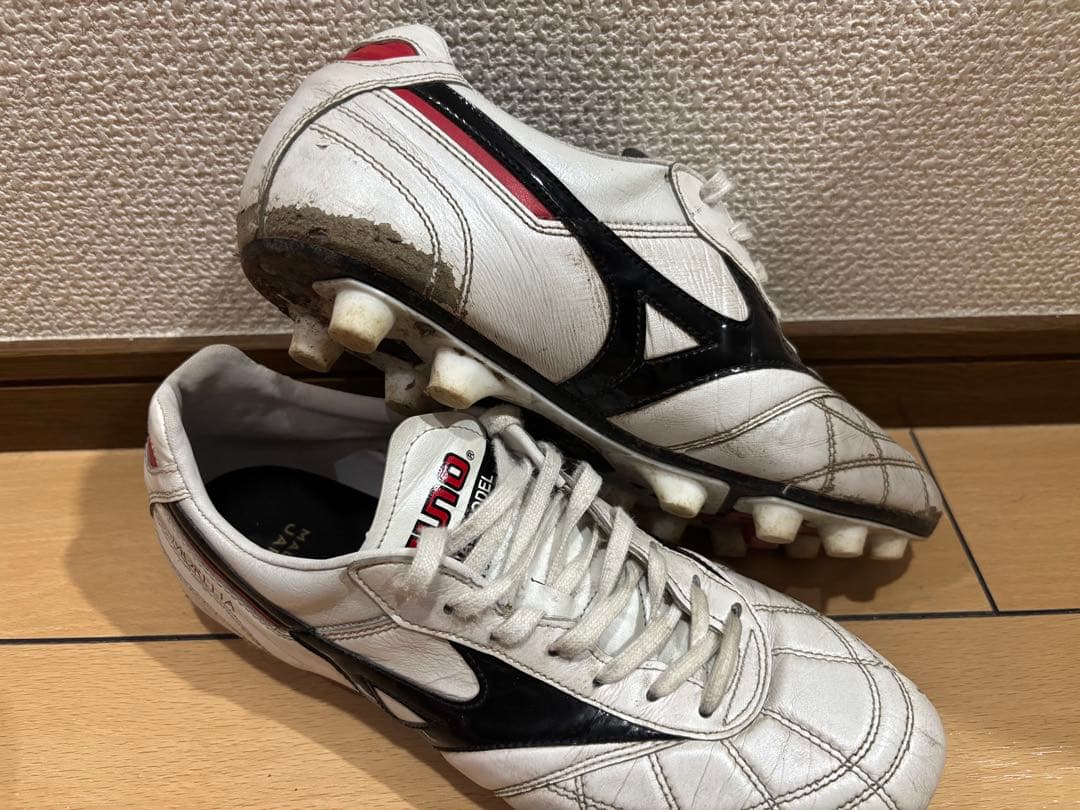 【値下げ不可】Mizuno モレリア