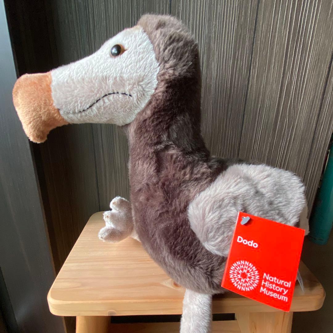 ロンドン自然史博物館ドードーのぬいぐるみ