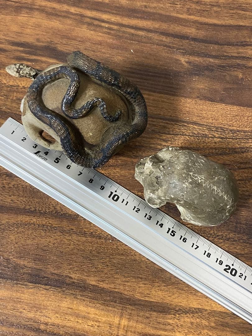 骨董レトロ髑髏野晒しスカル 2個セット 蛇付き 樹脂製