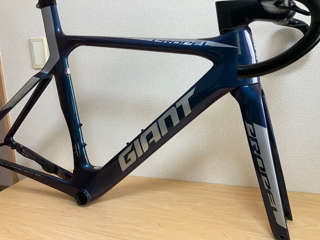 【hiro】GIANT PROPEL ADVANCED SL 30th限定