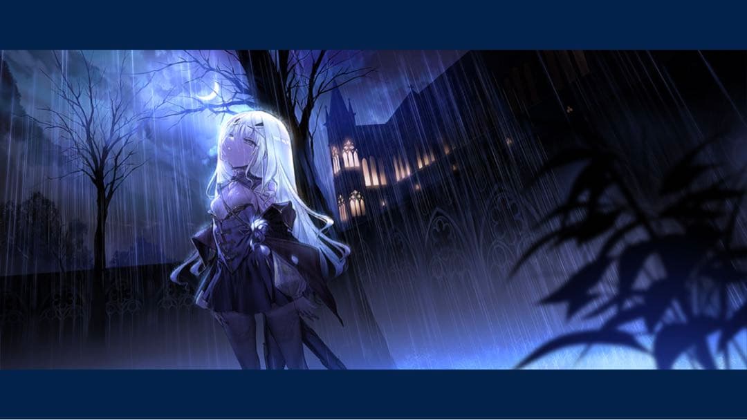 fgo カード バーヴァンシー　バーゲスト　メリュジーヌ