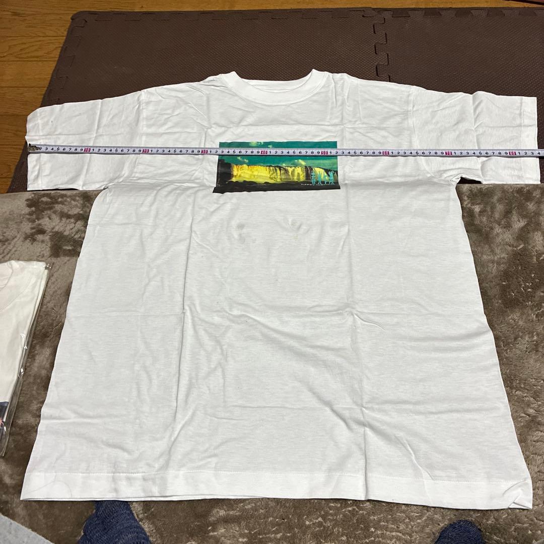 専用専用1997年の香港映画『ブエノスアイレス』（原題.春光乍洩Happy