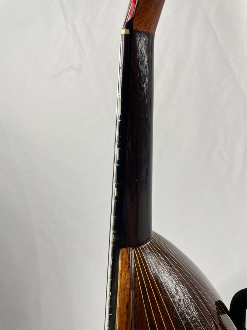 ラファエル・カラーチェ TYPE.15 ラウンドマンドリン