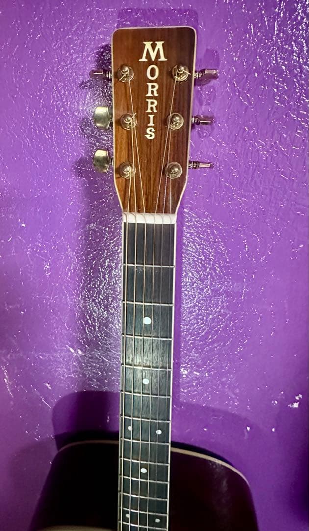 Morris アコースティックギター MD 520