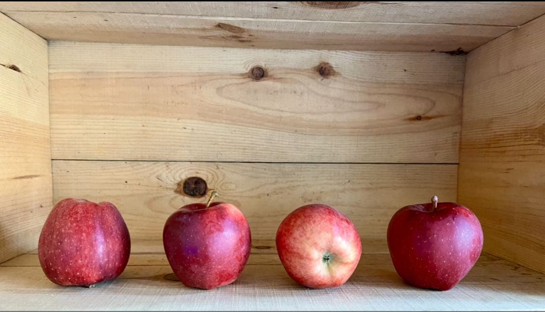 yasu.shiさま　オーダー品