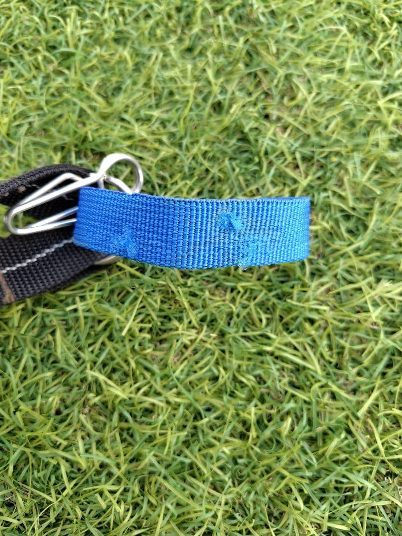 オガワ OGAWA ティエララルゴ