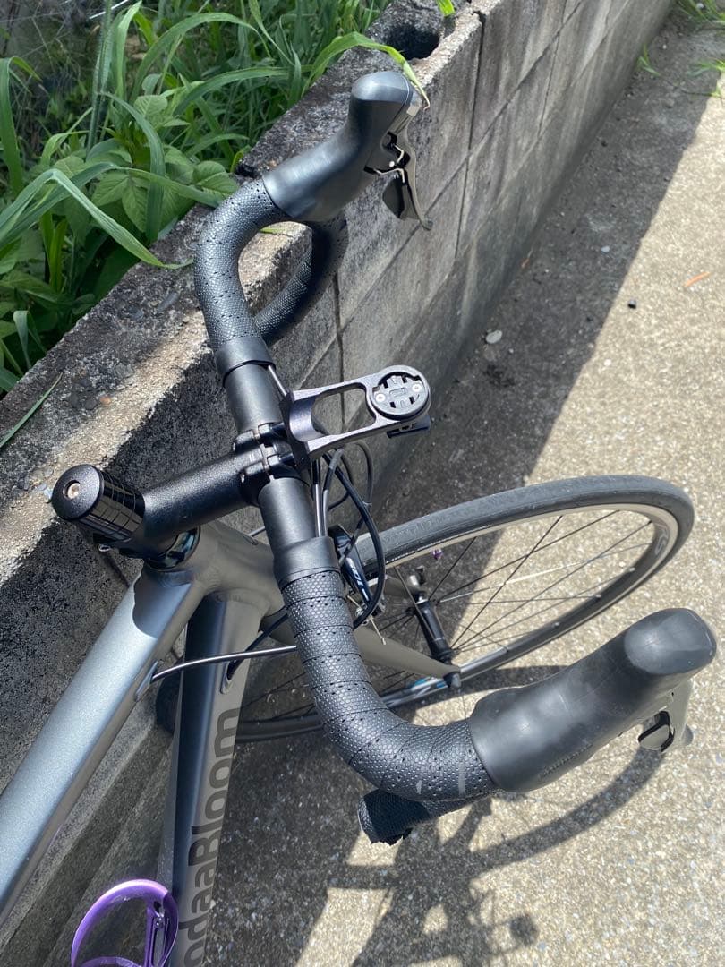 ほ*よ様 今だけ大特価Khodaabloom Farna