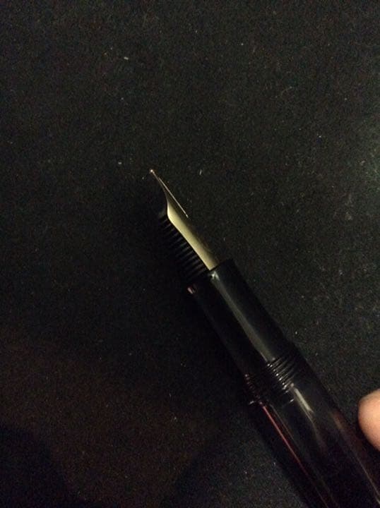 ペリカン万年筆ギュンターワーグナー(インク、ケース付)