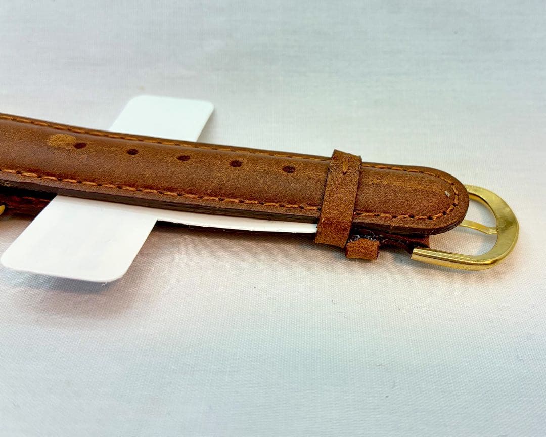 【匿名配送】ガーフィールド 公式ファンクラブ限定 腕時計 Garfield