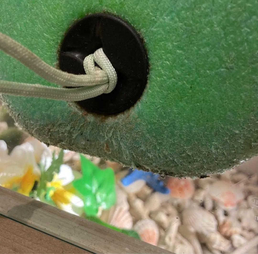 CATCH SURF ODYSEA LOG 8'0 ログ