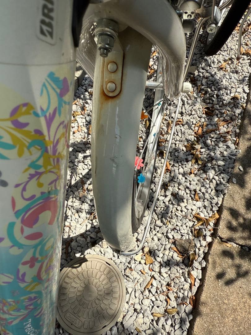 【直接引渡しのみ】ブリヂストン　エコパル22インチ　 水色 キッズバイク