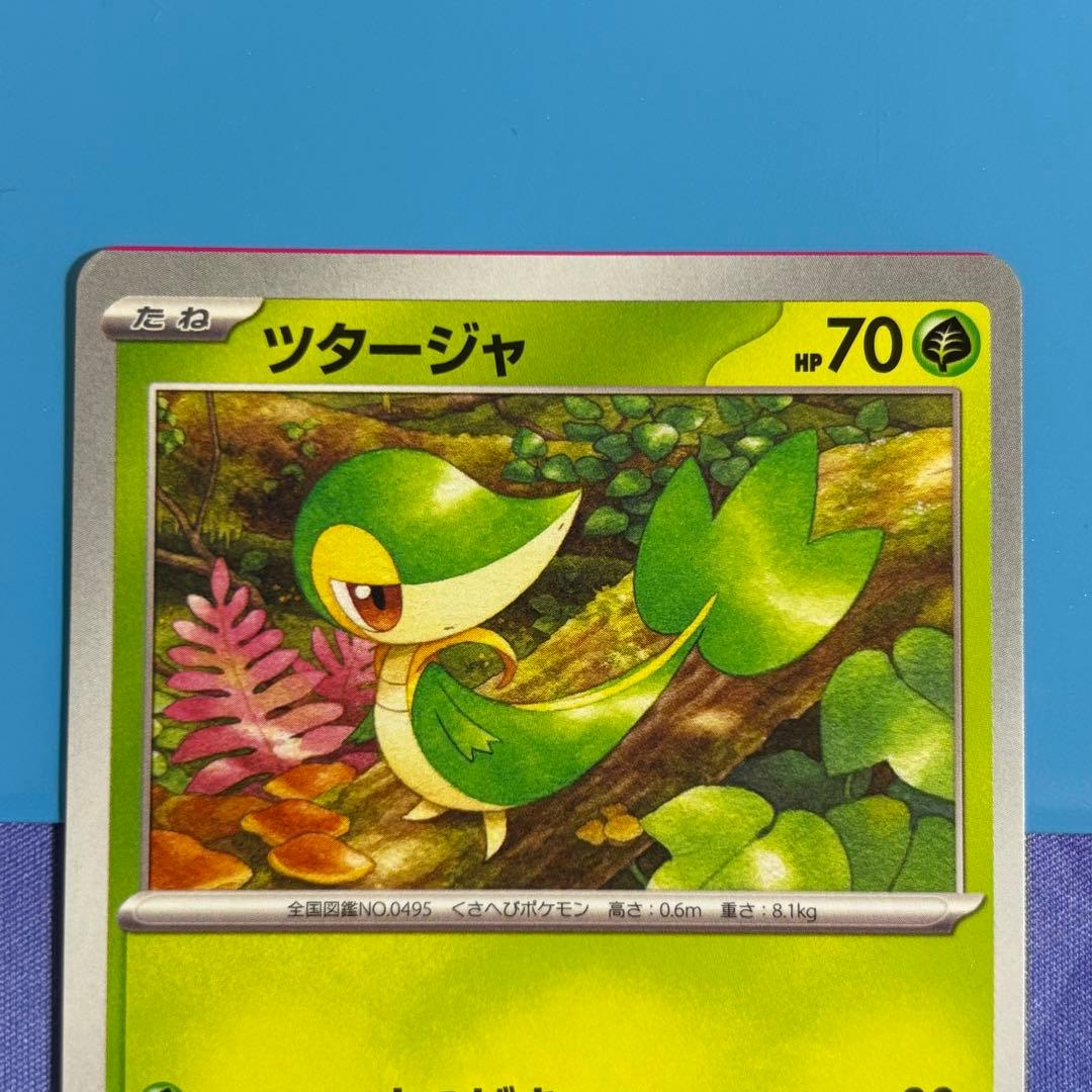 ポケカ ツタージャ エラーカード 裁断ミス 枠ズレ 起床 レア