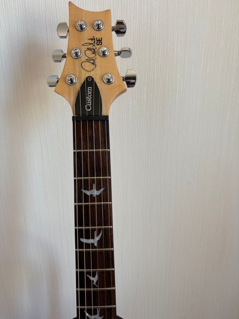 PRS seカスタム24