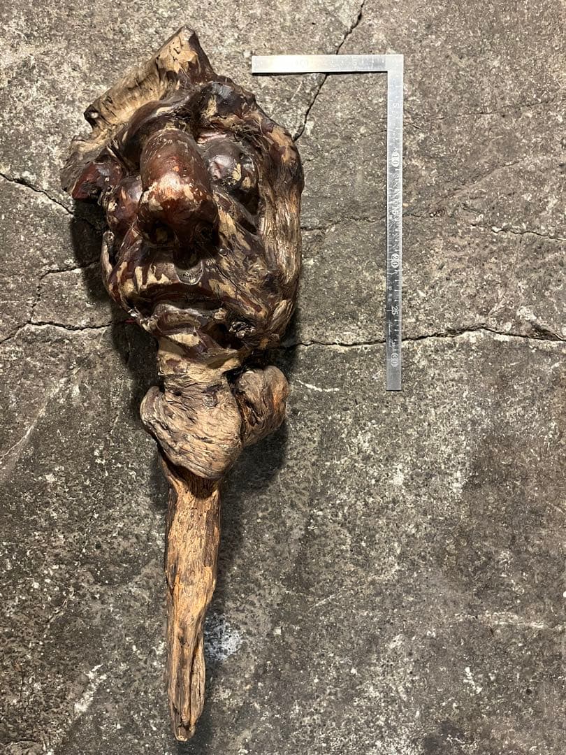 骨董　瘤杢　作者年代不明 価格応相談