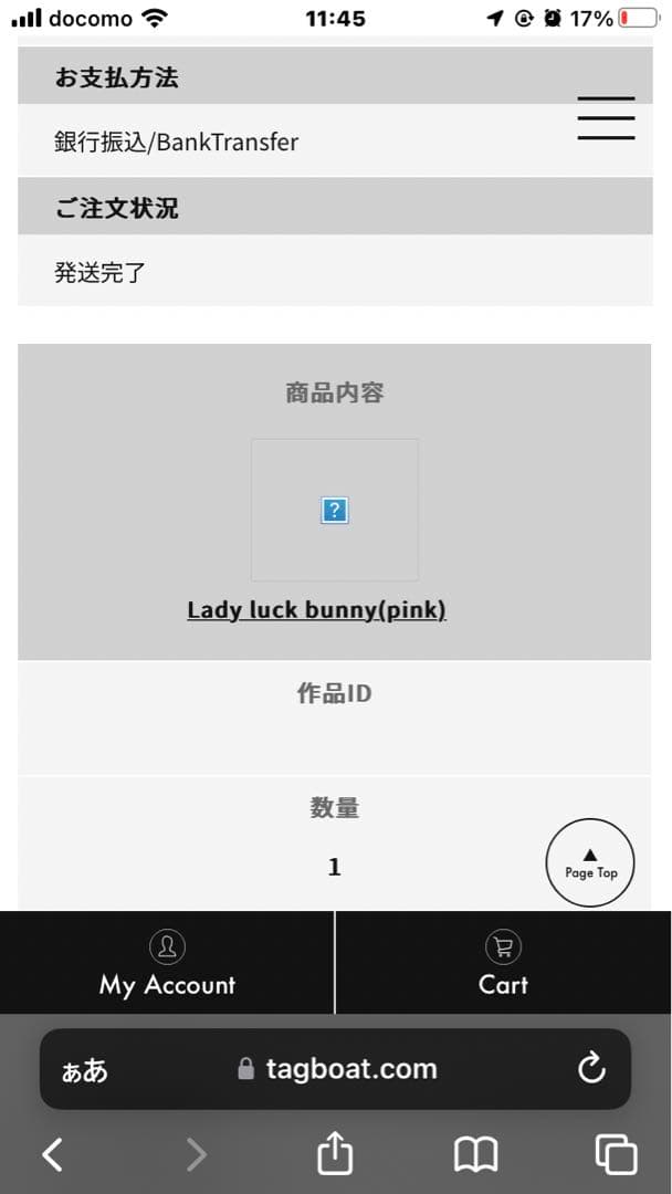 【１点もの】LADY AIKO レディーアイコ グラフィティアート 現代アート