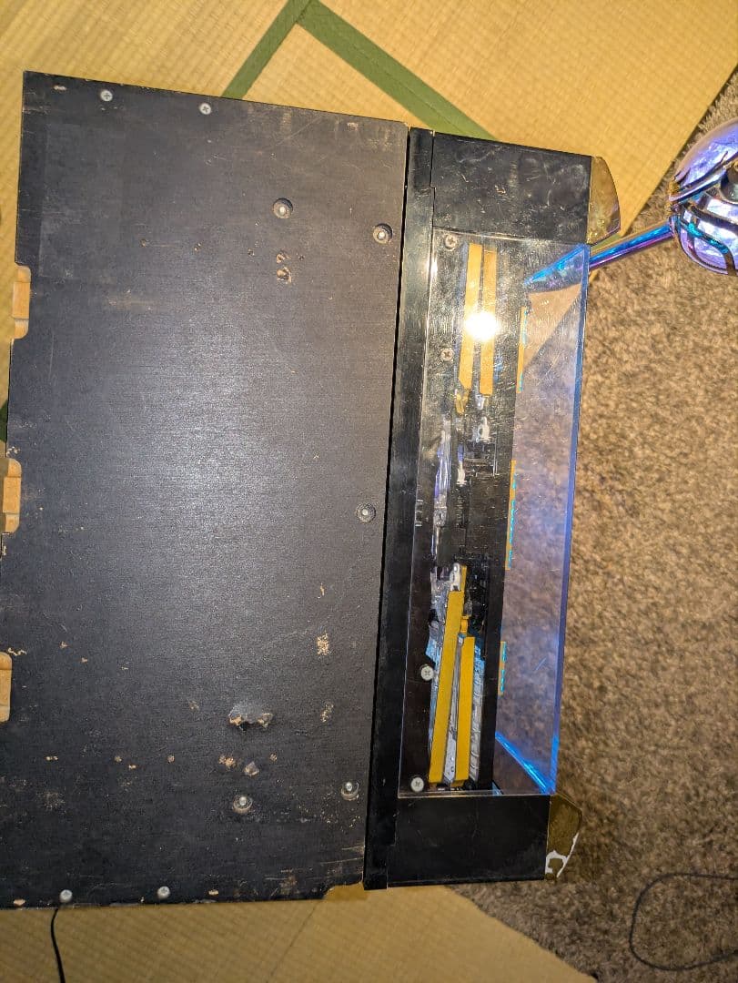 AKB48 バラの儀式