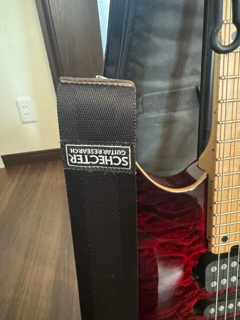 今日だけの値下げ❗️SCHECTER NV-DX-24-AS　D-tunaつき