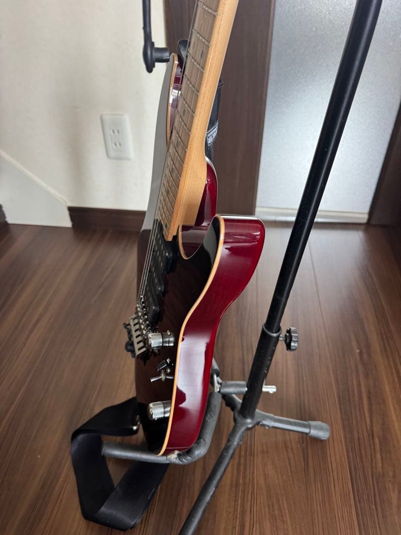 今日だけの値下げ❗️SCHECTER NV-DX-24-AS　D-tunaつき