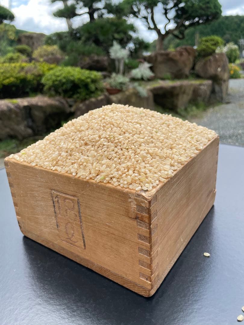 玄米　20kg 農家直送　コシヒカリ　 広島県産