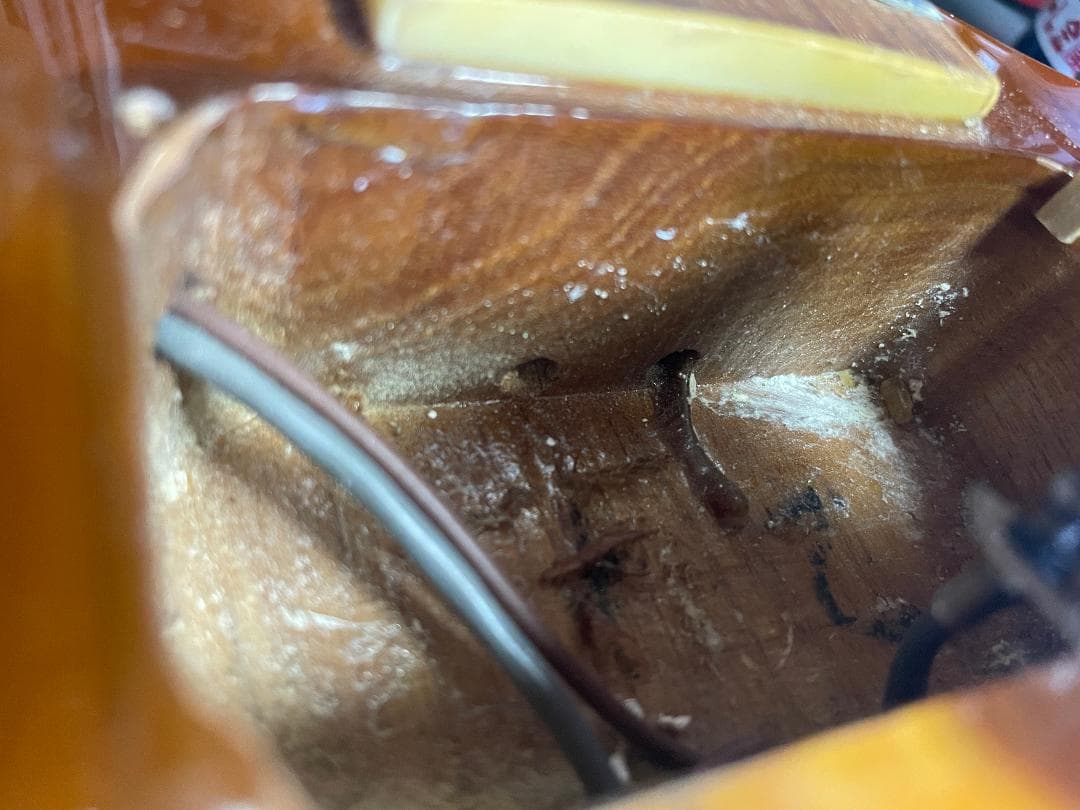 Photogenicレスポールタイプ