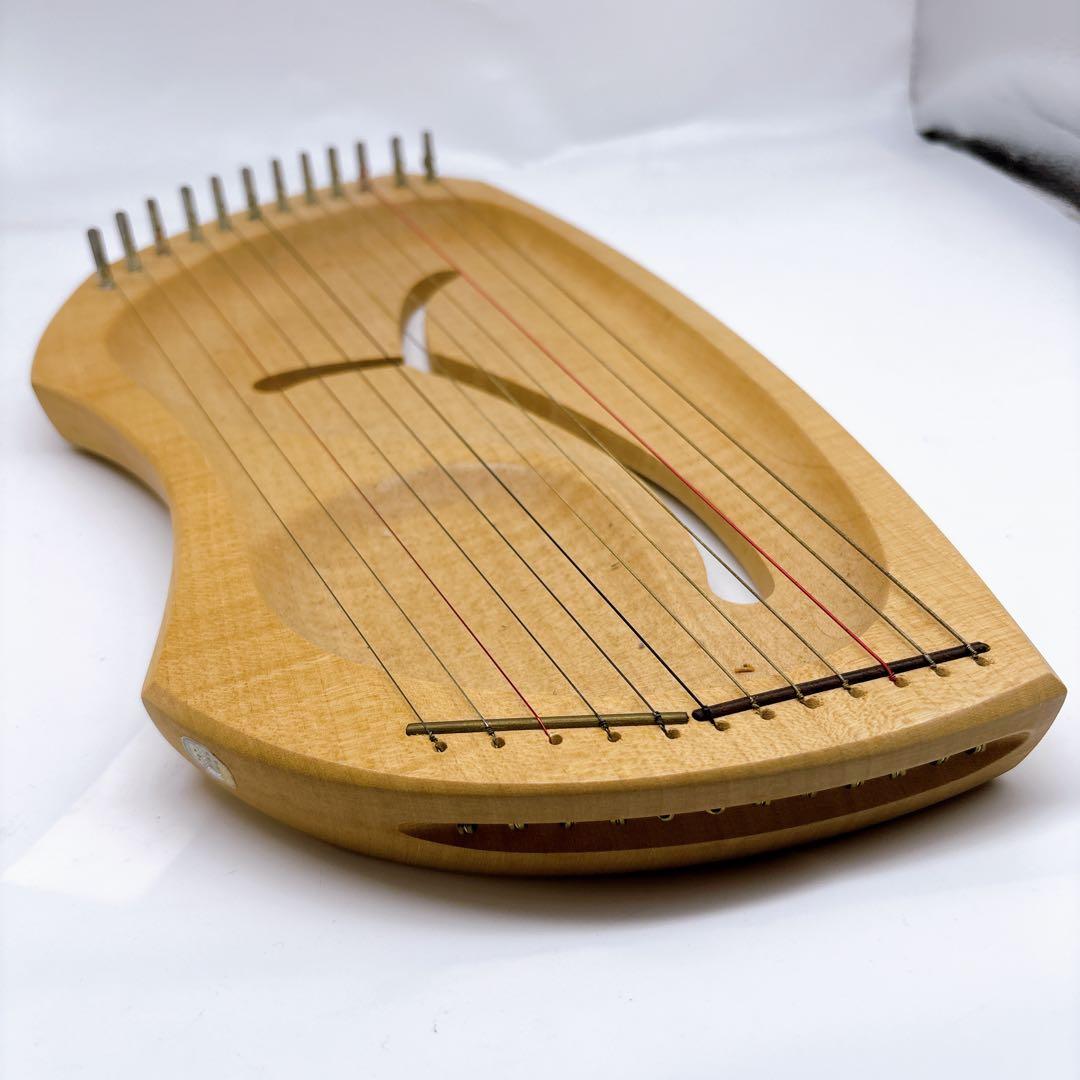 アウリス（AURIS）ライアーダイヤトニック１２弦