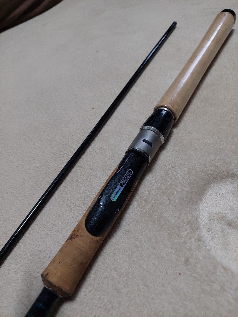 エギングロッド ダイワ ST-EQ 821-D