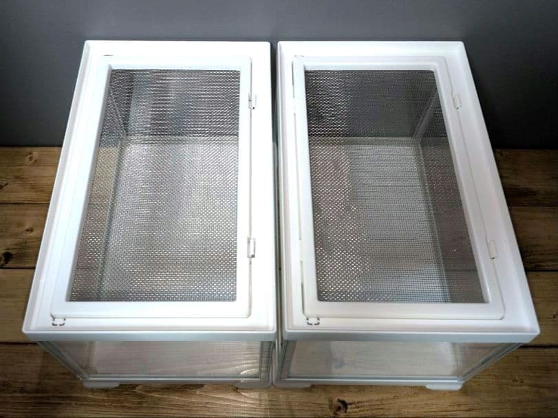 エキゾテラ レプテリアホワイト300Low 4個セット レプタイルディッシュ付き