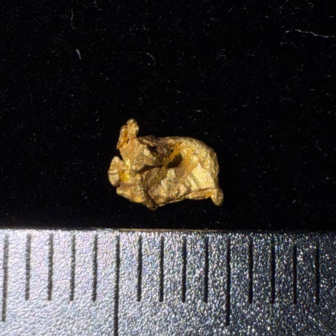 ヤ*ト様 砂金 特大 天然物 【アラスカ産】#98鑑定済 0.22ｇ