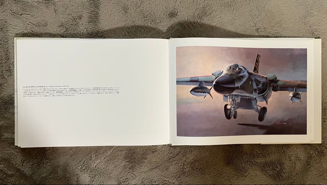 小池繁夫 FLYOVER フライオーバー 航空イラスト作品集 中古美品 ソニー