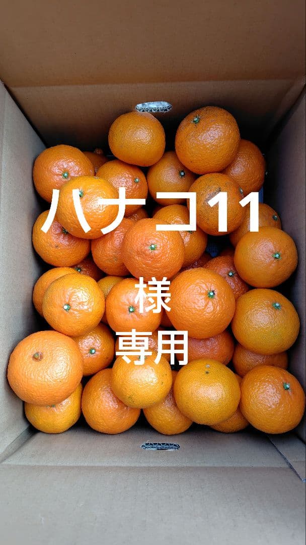 津之輝20㎏(家庭用)ハナコ11#1