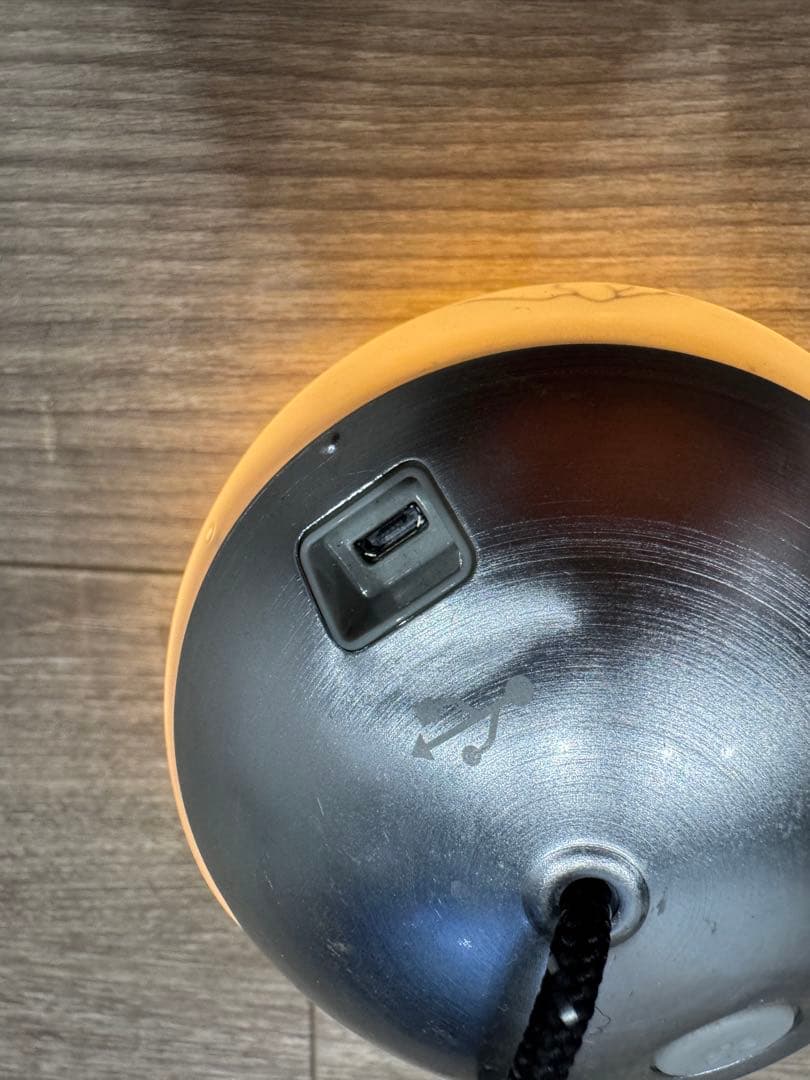 60th Anniversary Lantern 60周年記念 メタルほおずき