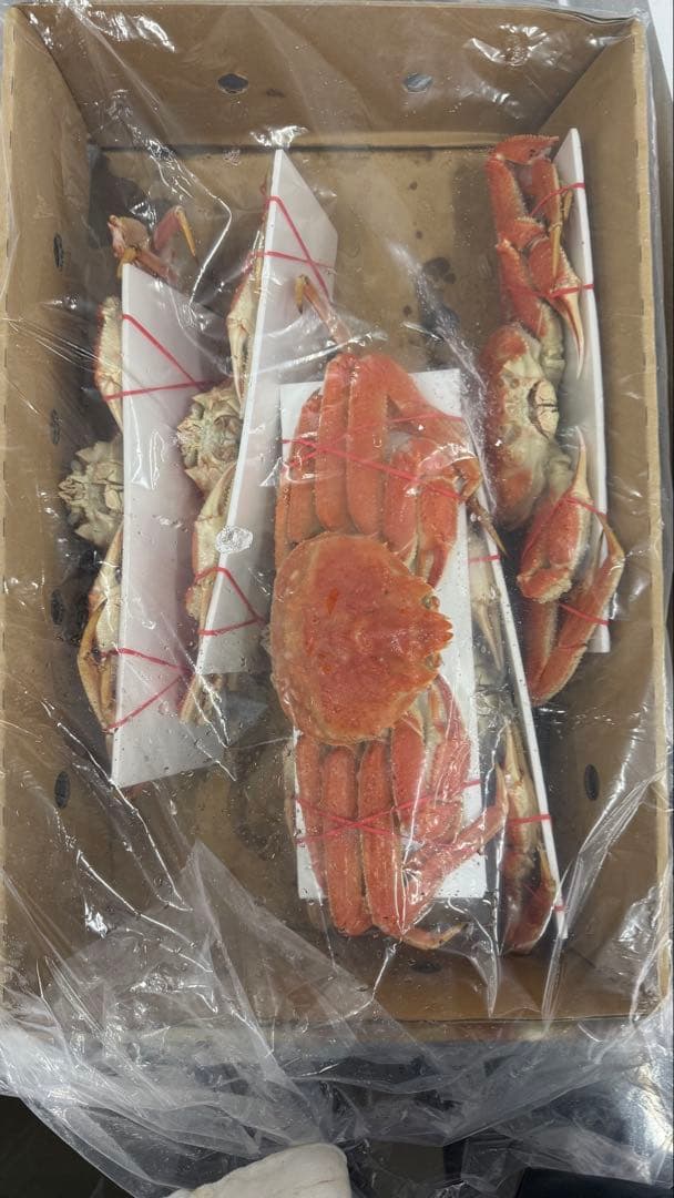 北海道産ボイルオオズワイ！特大！　冷凍　500g前後　3k6匹入