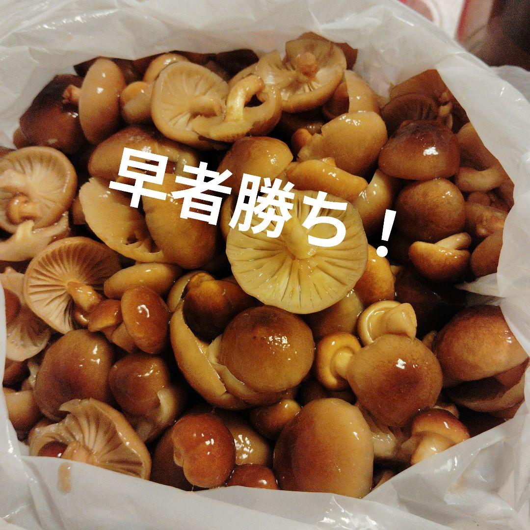 生なめこ　3kg！